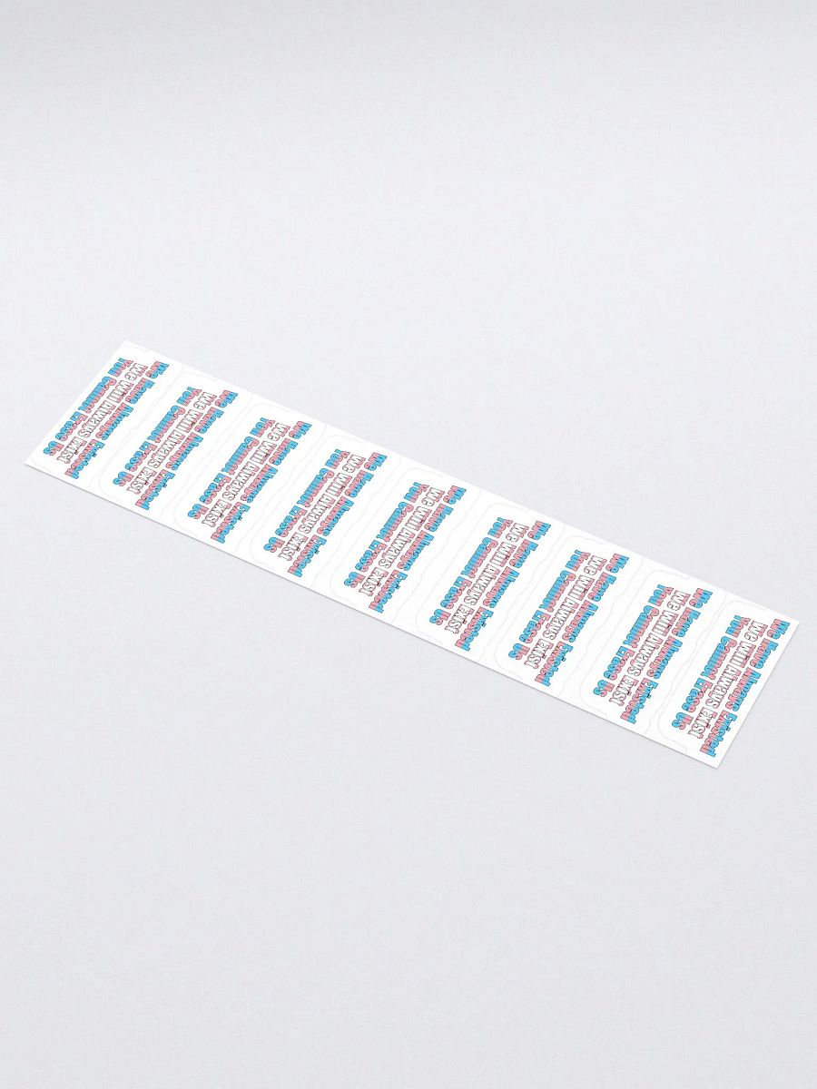 You Cannot Erase Us Stickers product image (1)