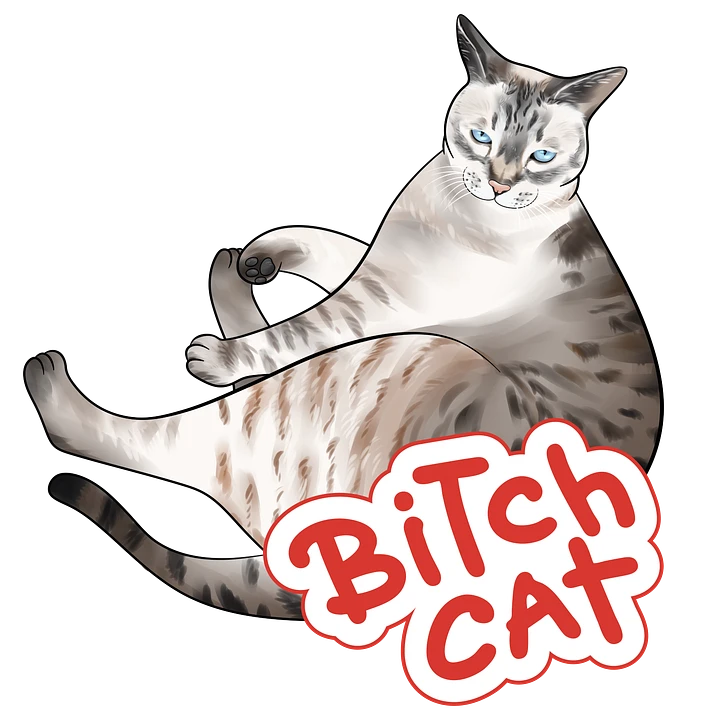 12 Gift Reward B Cat Stickers product image (1)