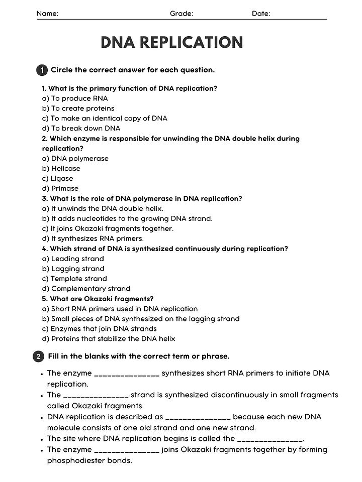 Biology DNA Replication Worksheet - Printable PDF with Answer Key product image (1)