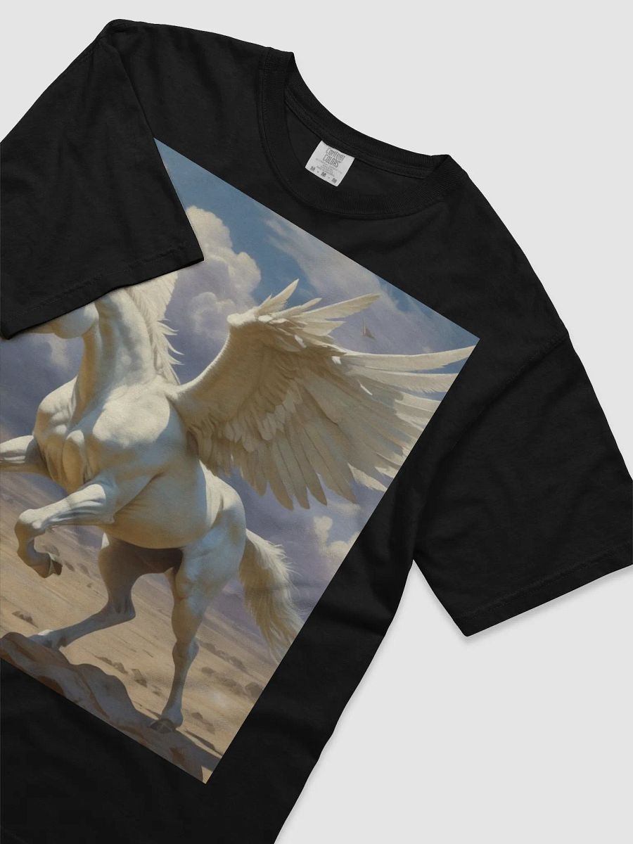 Pegasus product image (17)