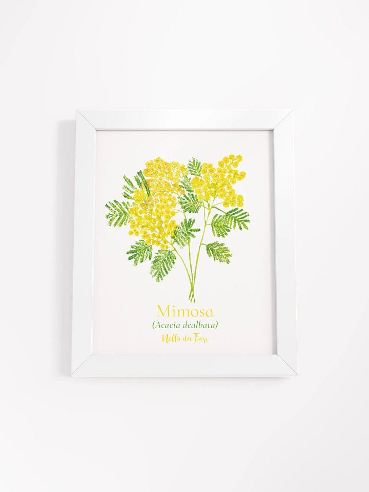 Mimosa Botanicus Frame product image (3)