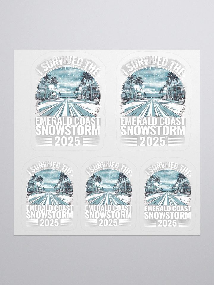 I Survived the Emerald Coast Snowstorm 2025 Sticker Set product image (1)