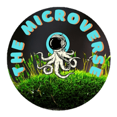 The Microverse