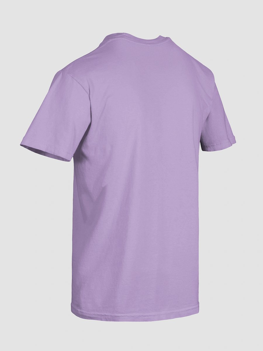 UFO Ultraconservative Family Oriented T-Shirt product image (10)