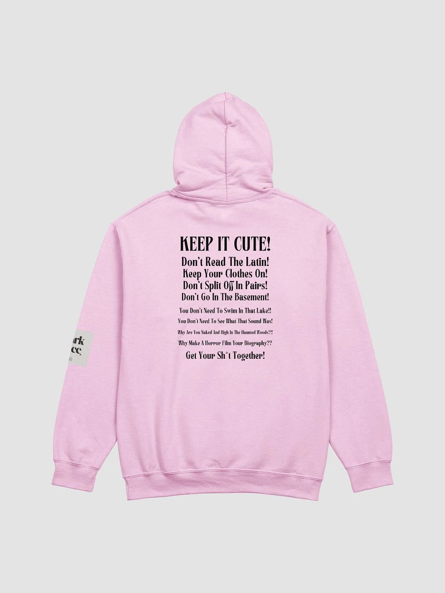 Don't Read The Latin BSFR Hoodie product image (2)