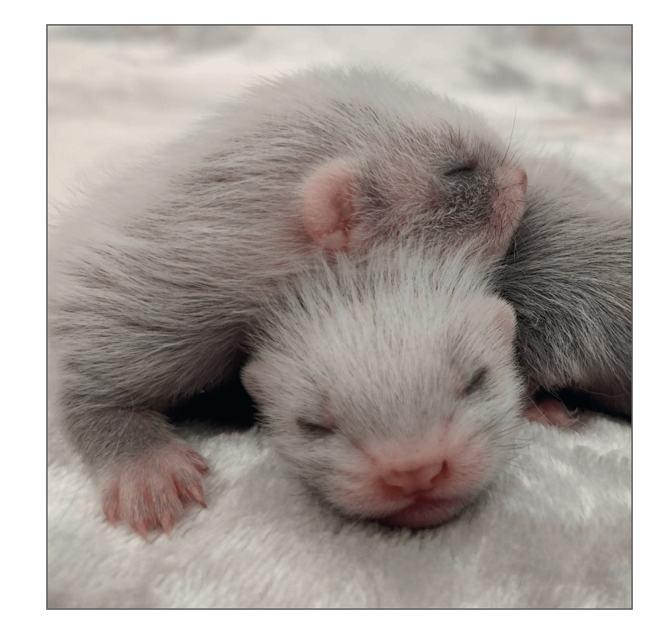 Kingsdown Kits PhotoBook - UK/EU Delivery product image (3)