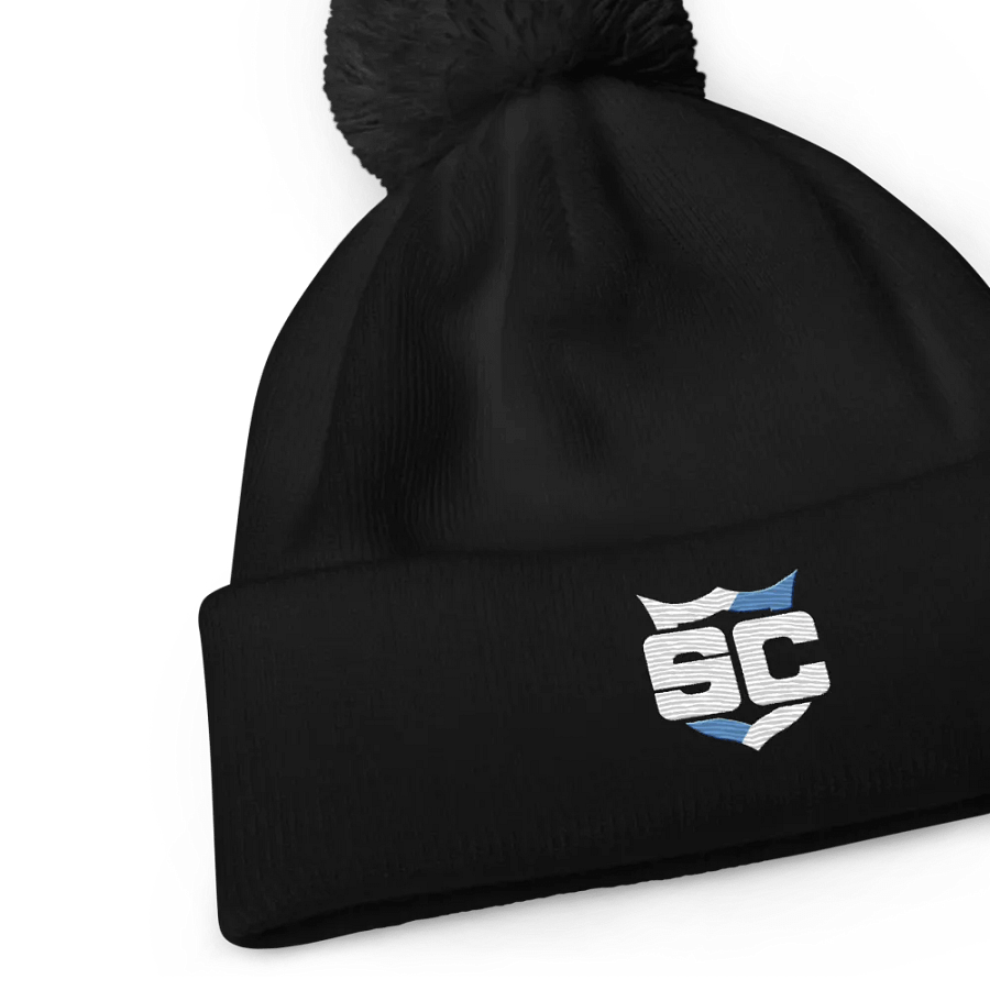 Sanctuary Craft Icon Beanie product image (9)