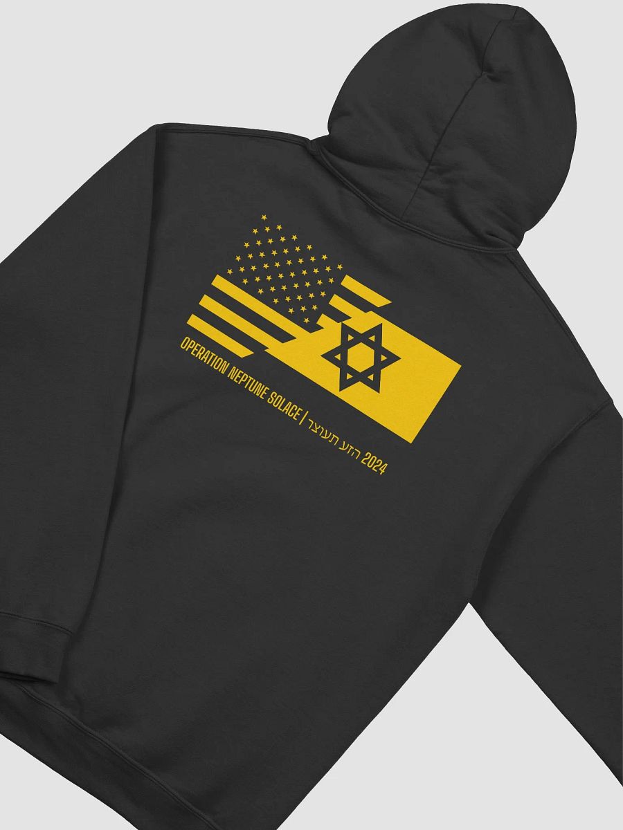 ONS Flag Yellow Hoodie product image (4)