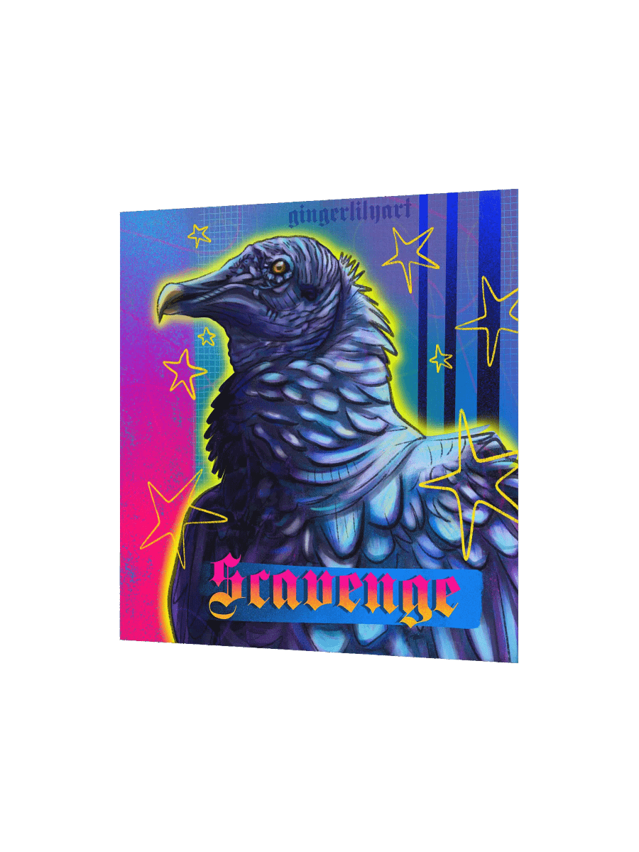 black vulture product image (3)
