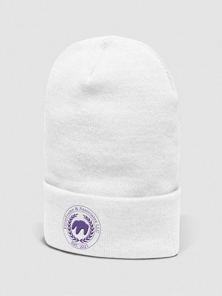 Purple OEM FormFrame and Associates LLC Beanie product image (42)