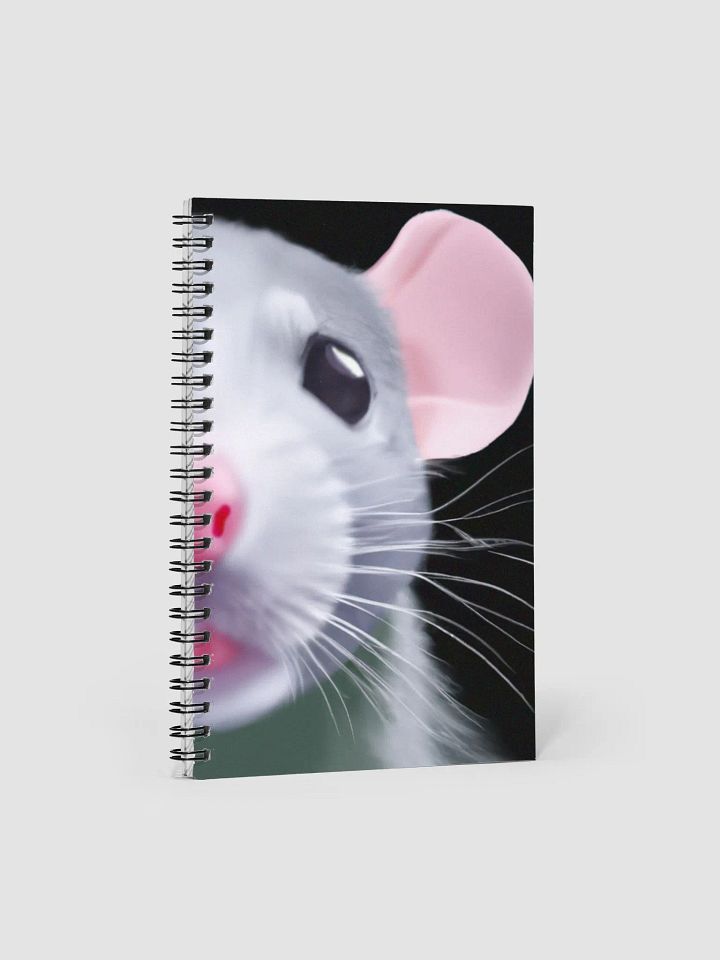 baby dumbo rat girl! diary product image (1)