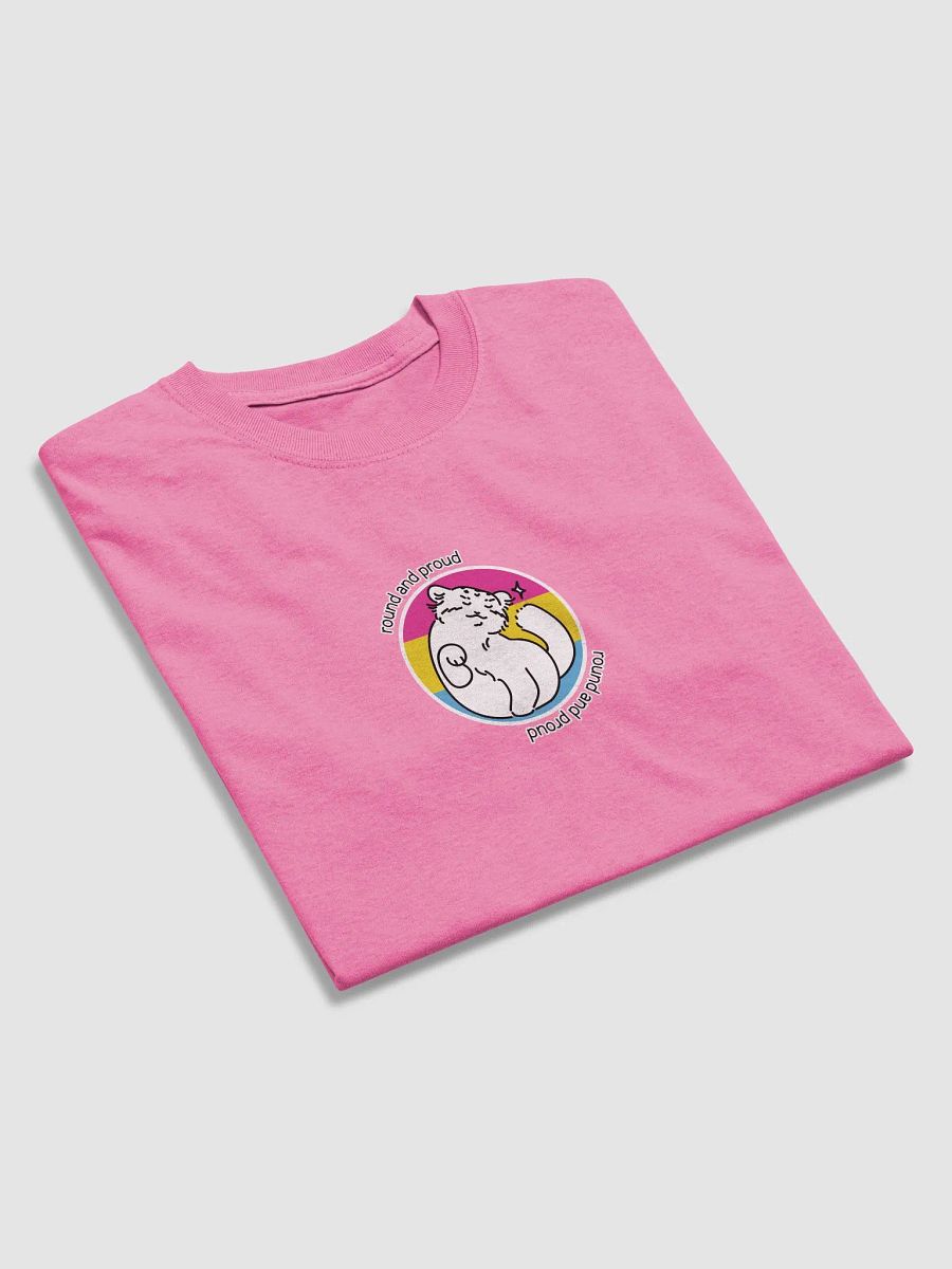 Round and Proud Manul Pansexual Version - Gildan Unisex T-Shirt product image (32)