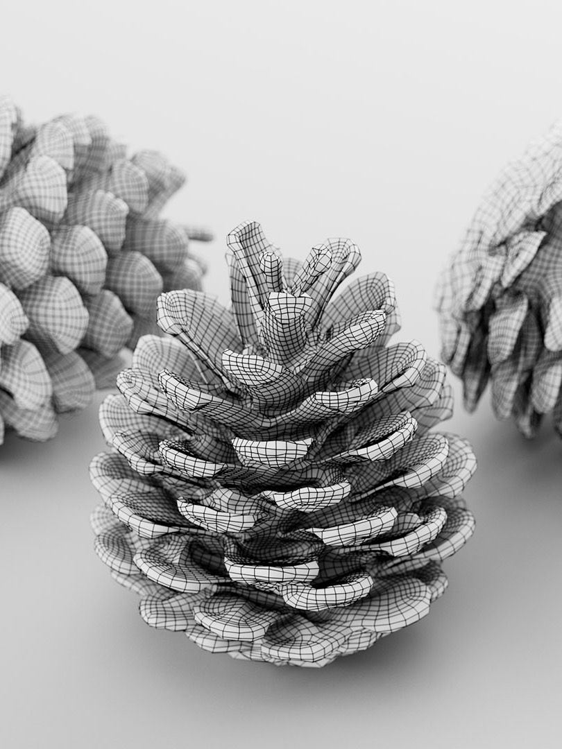 Pinecone - 3D Scan product image (2)
