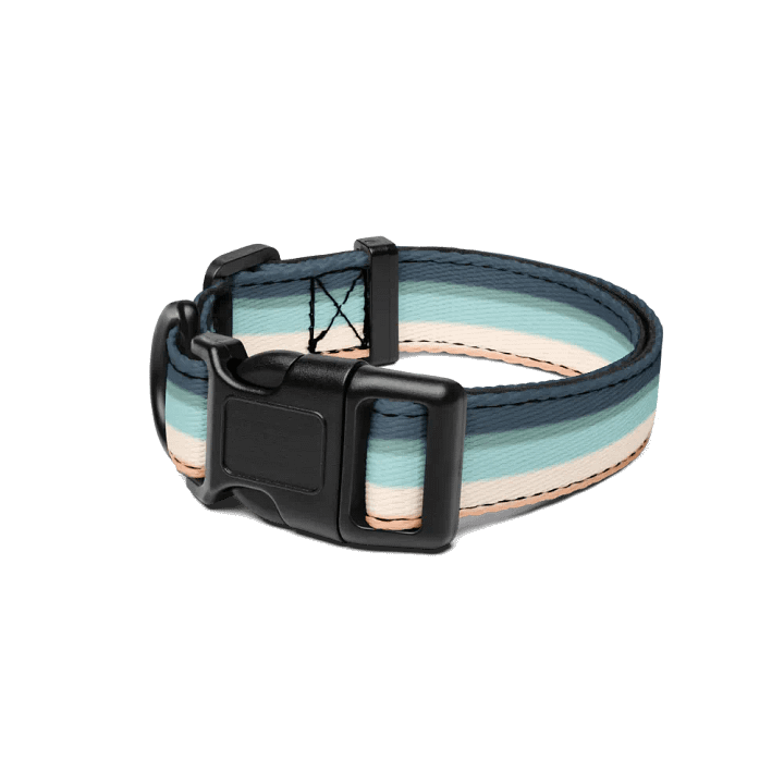 Collar (for pets) product image (1)