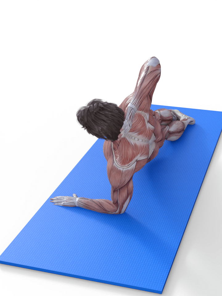 Side Plank Raise product image (2)