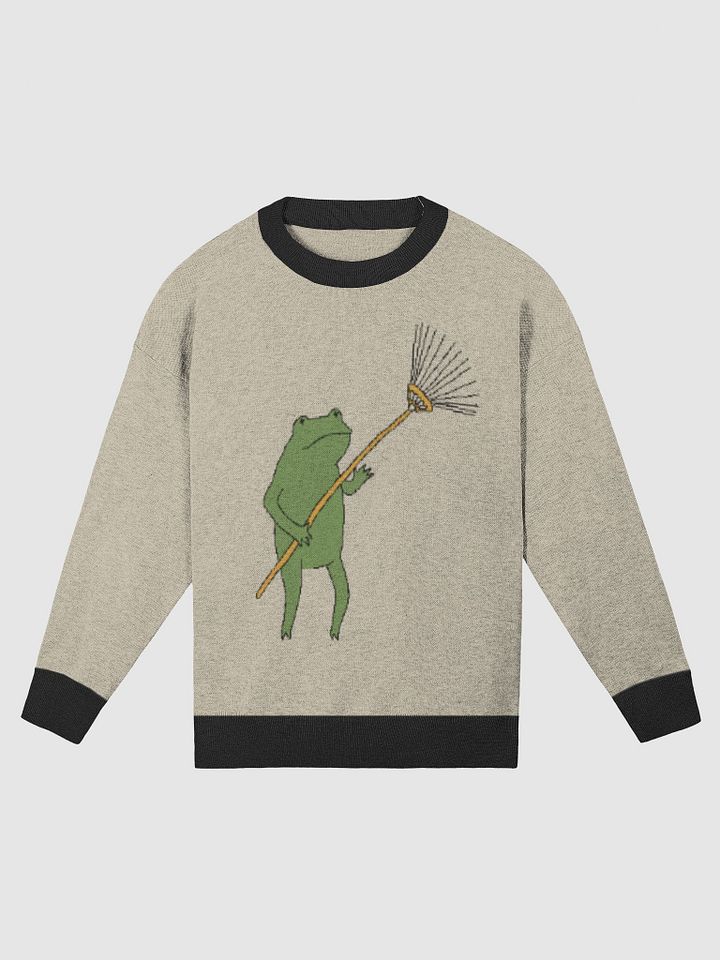 (FROG is going to live now with RAKE) - SECRET SWEATER product image (1)