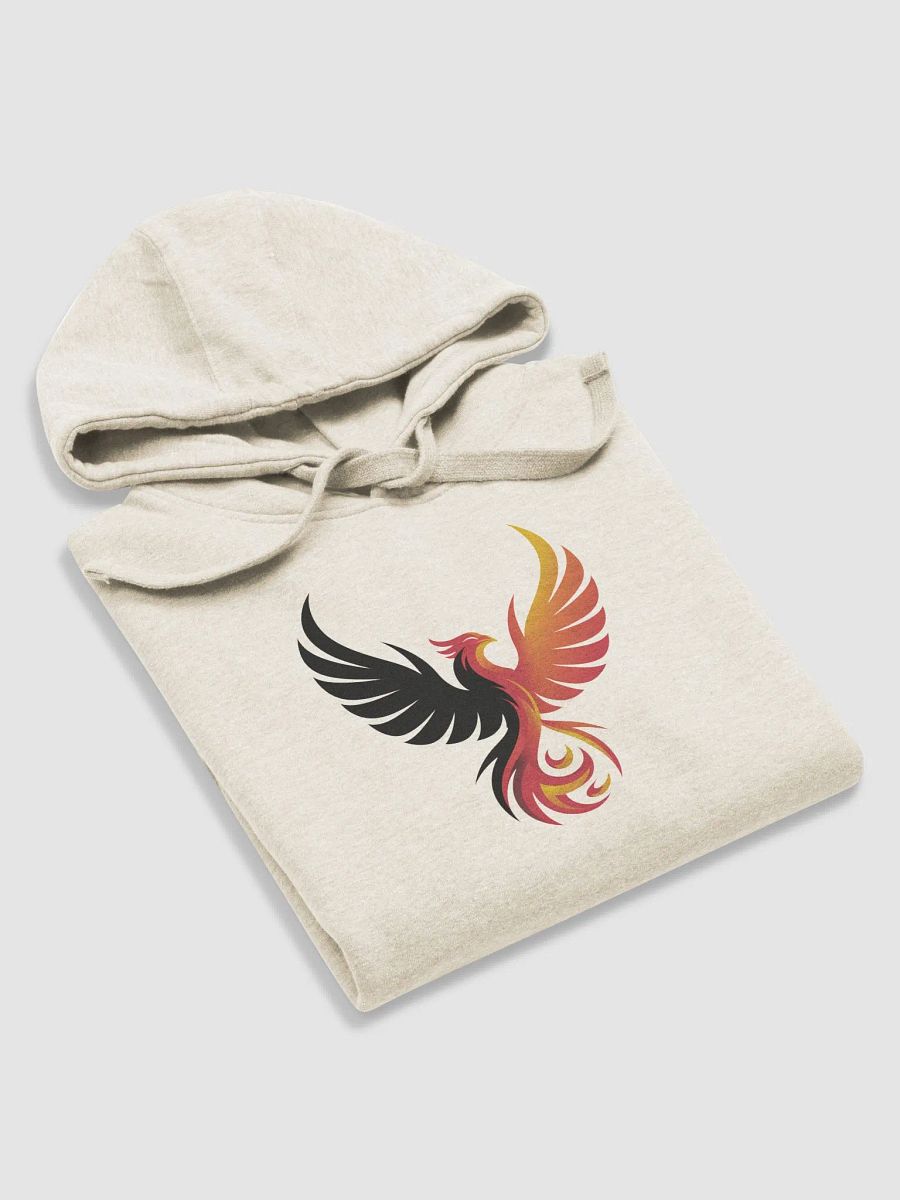 Rise & Conquer Hoodie product image (18)