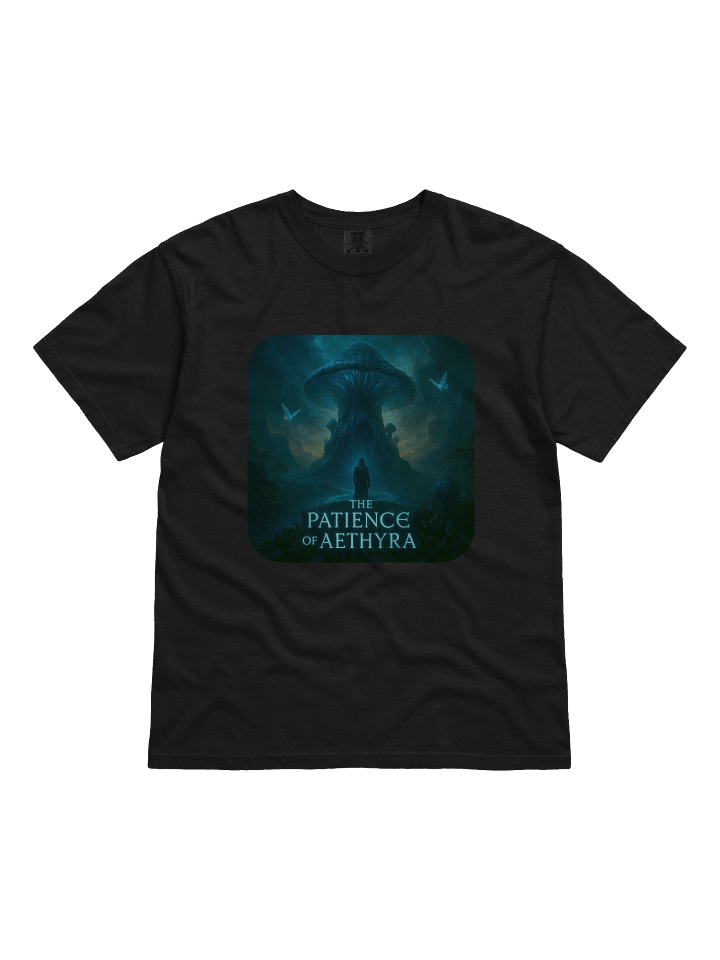 The Patience of Aethyra Heavy Tee product image (7)