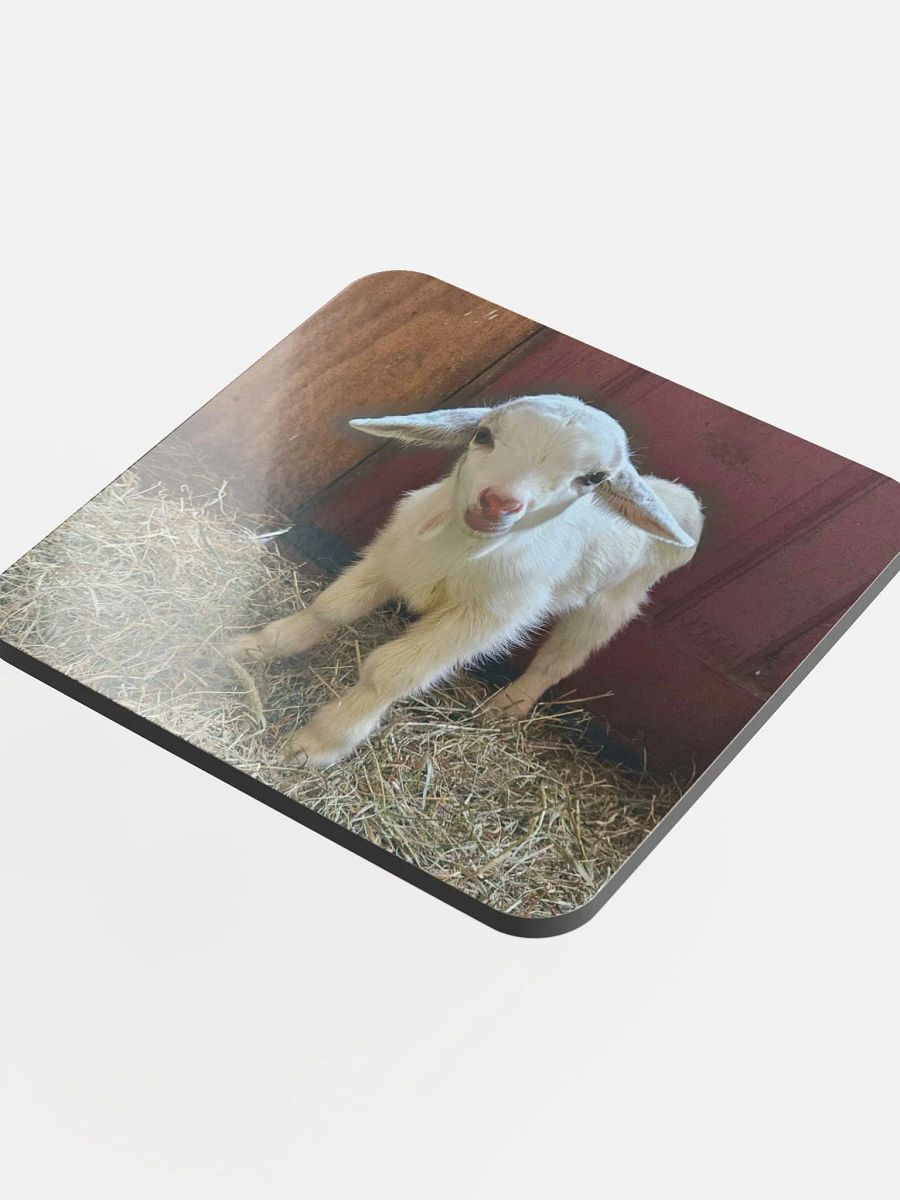 Baby Whiskey coaster product image (4)