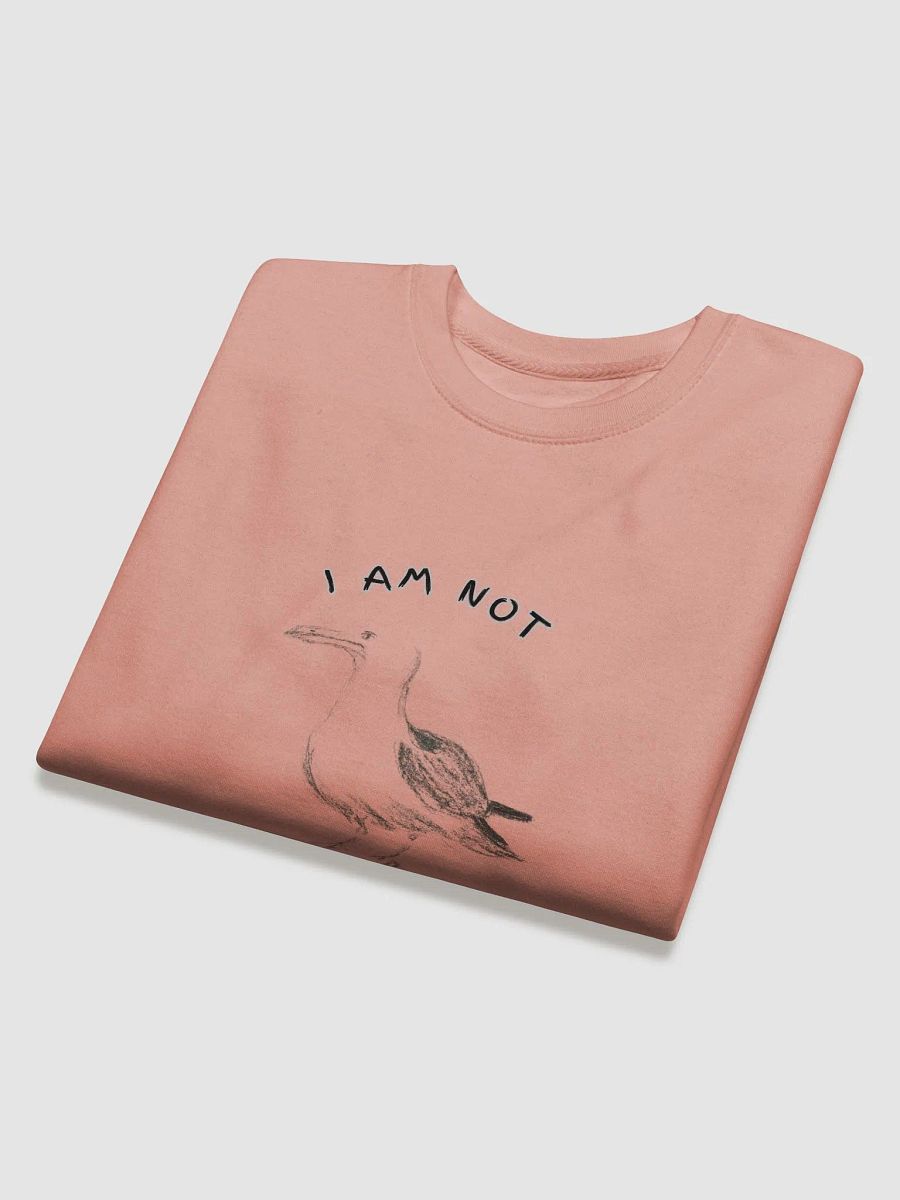 I am not Gullible! Premium Cotton Sweatshirt product image (7)