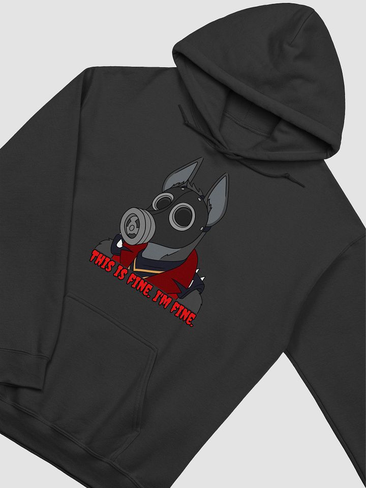 PERFECTLY FINE HOODIE product image (4)