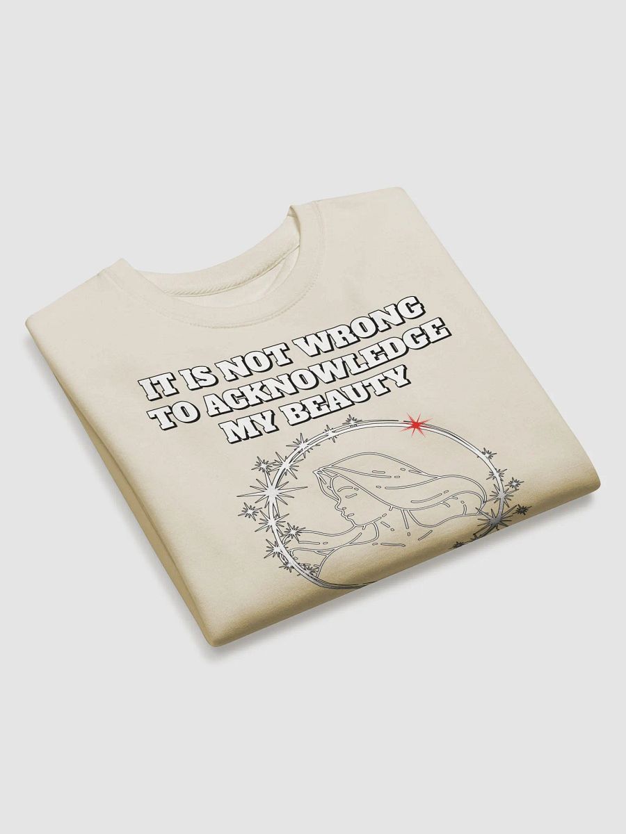 It Is Not Wrong To Acknowledge My Beauty - Funny Sweatshirt product image (18)