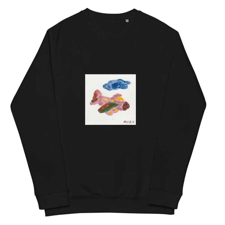 Kid Airplane (SOL'S Unisex Organic Raglan Sweatshirt) product image (2)