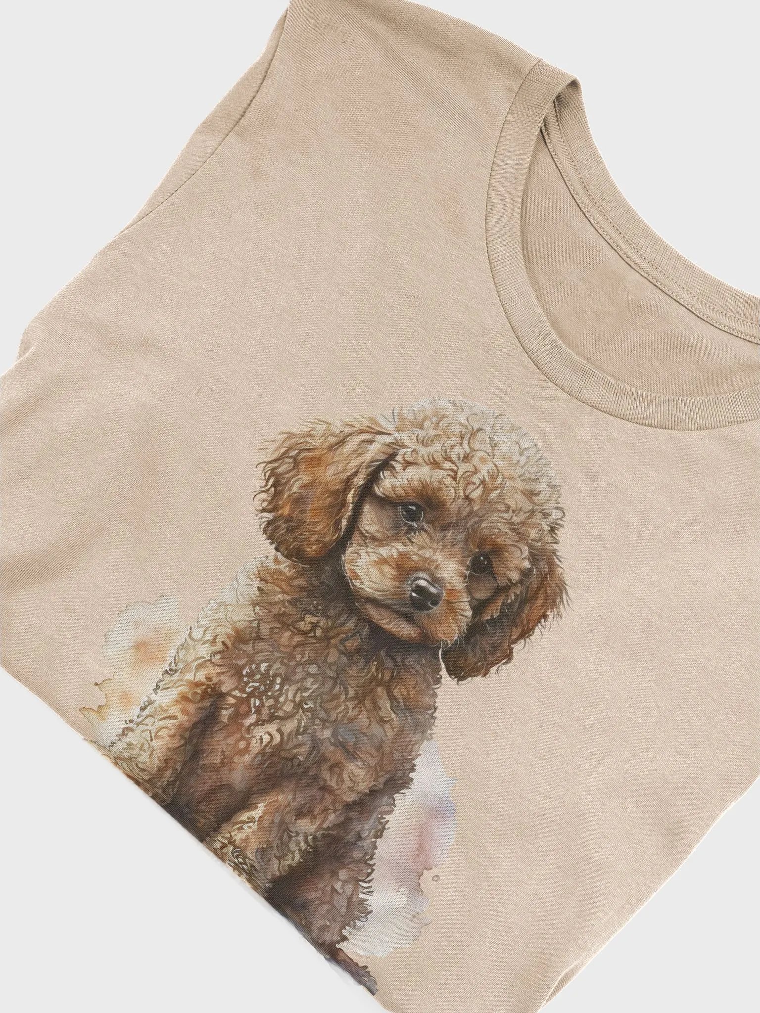 Apricot Poodle product image (3)