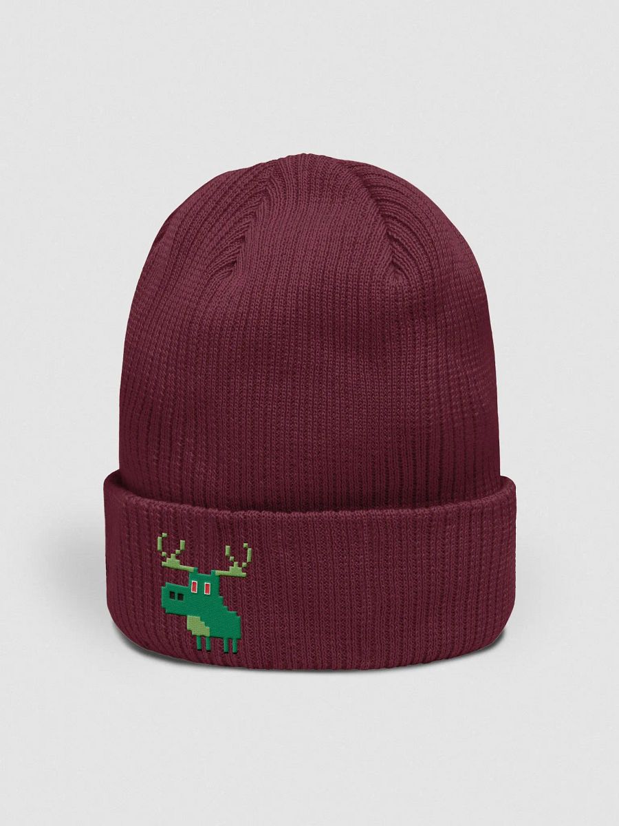 Iconic Green | Embroidered Beanie product image (38)