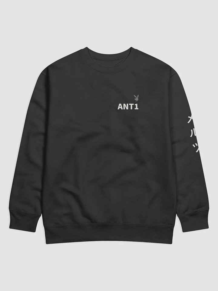 ANT1 product image (1)
