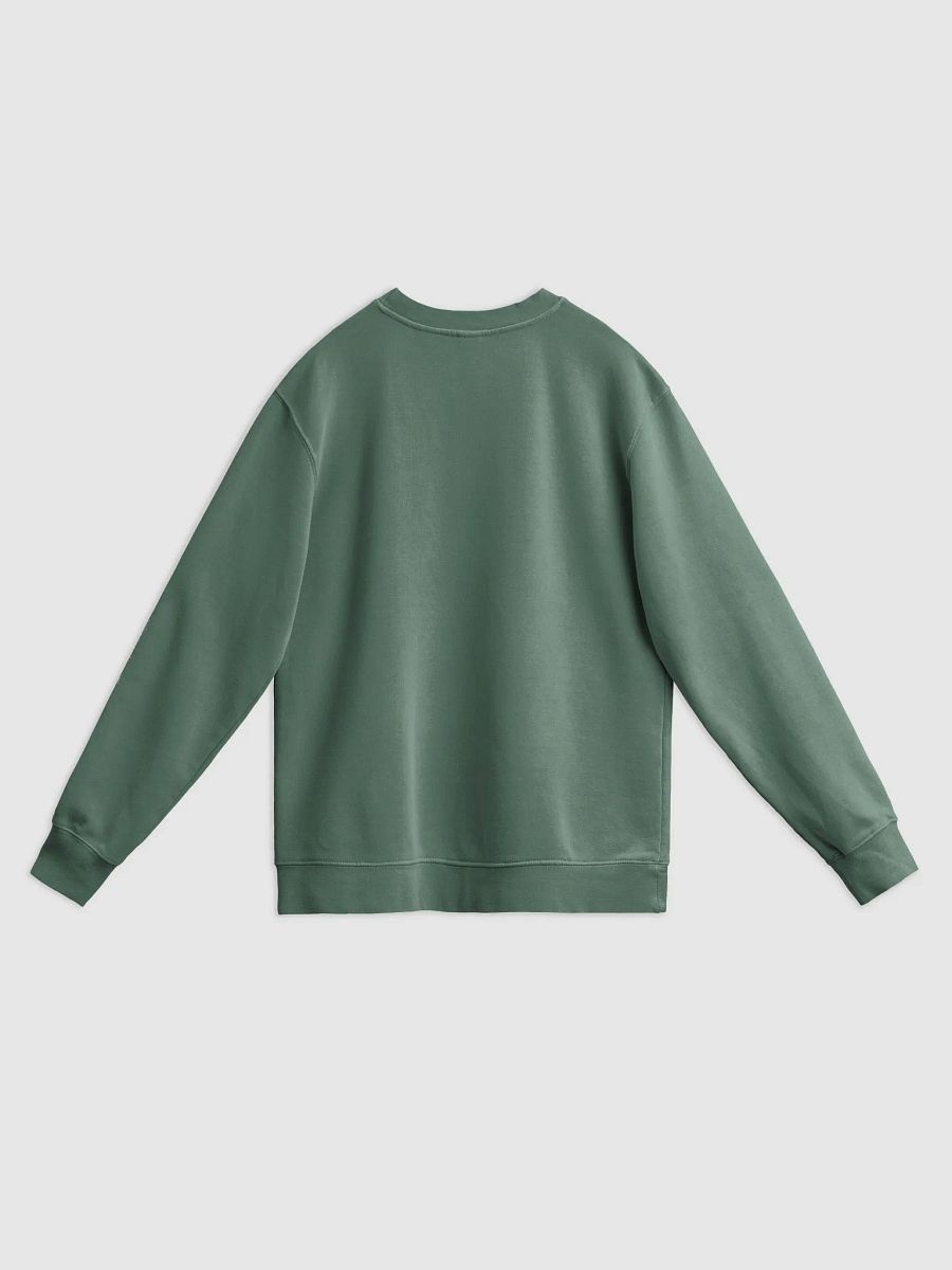 The Leverage Sweatshirt product image (11)