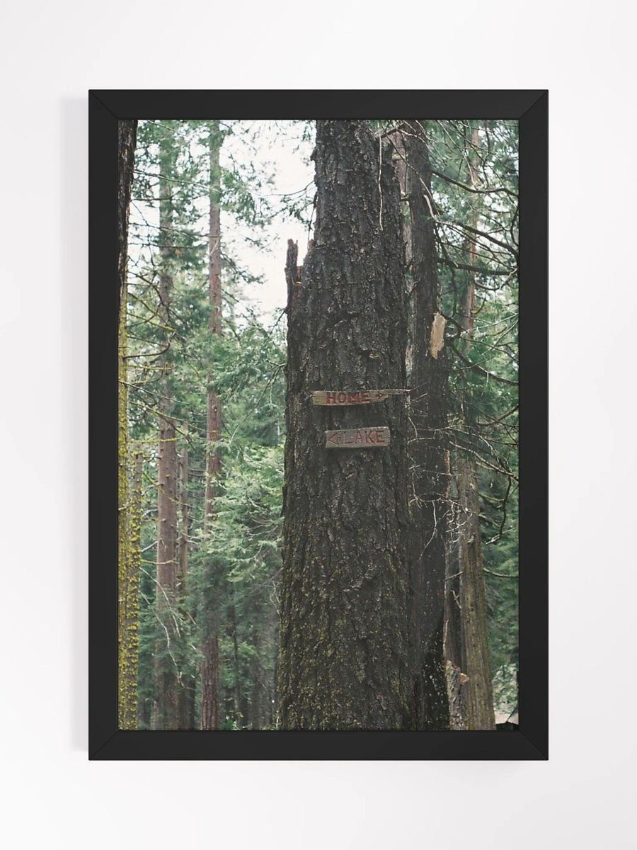 To Home - To Lake product image (1)