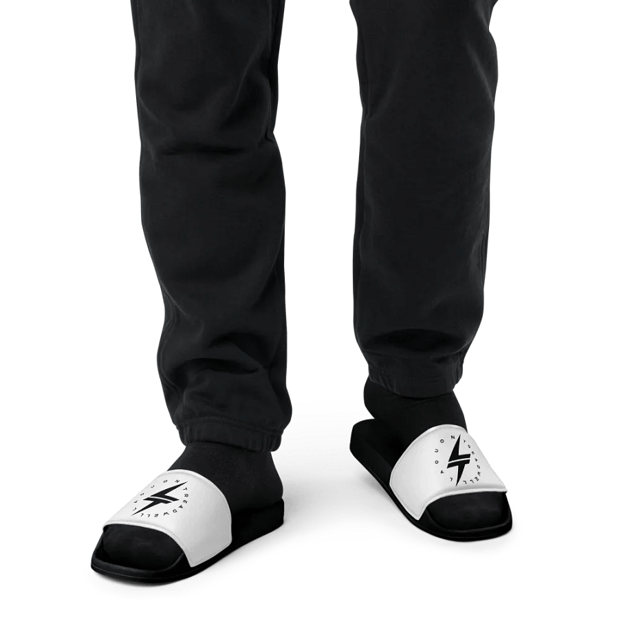 LT Slides product image (12)