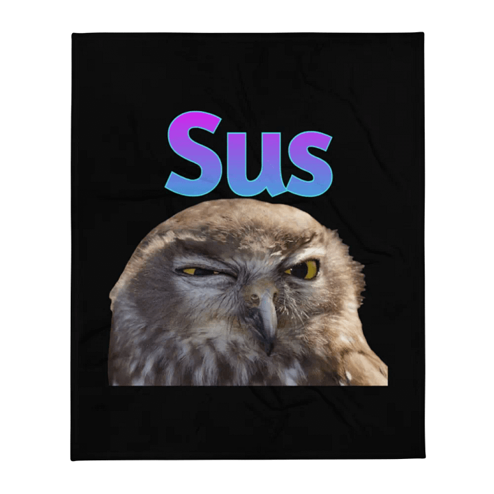 Sus Owl Blanket - Black product image (2)
