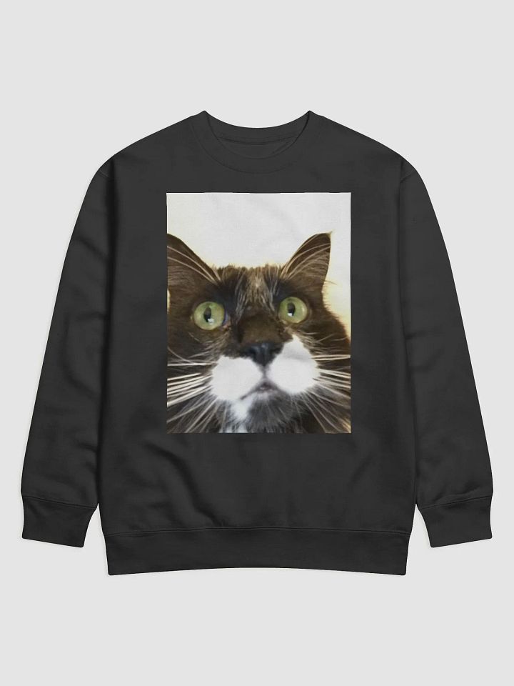 Dharma Cat Sweatshirt product image (1)