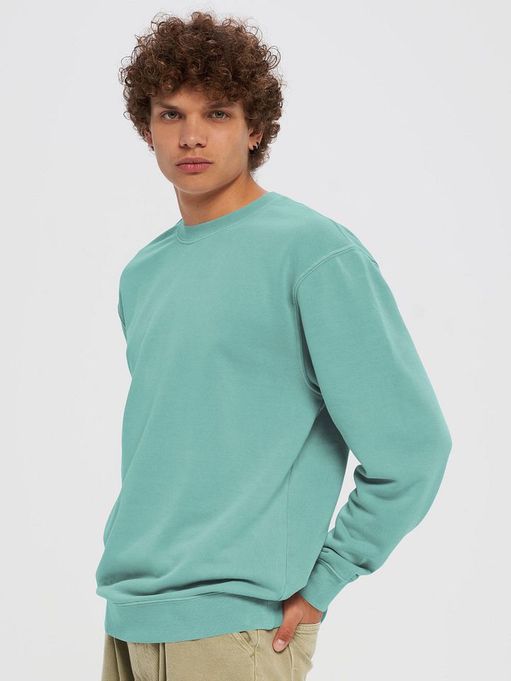 Crest Sweatshirt product image (2)