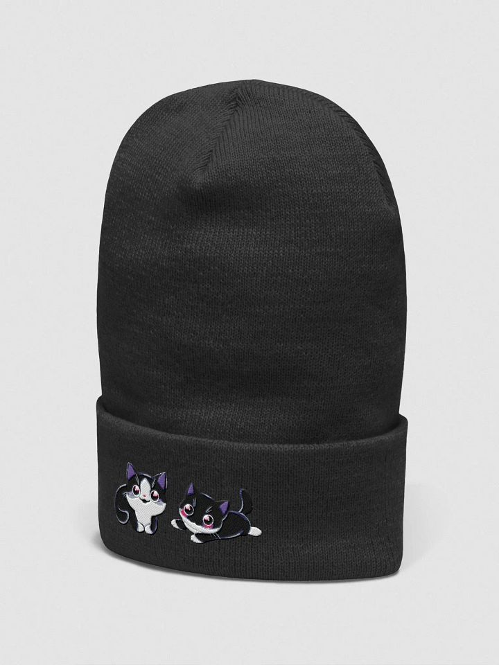 Salem and Sabrina! product image (13)