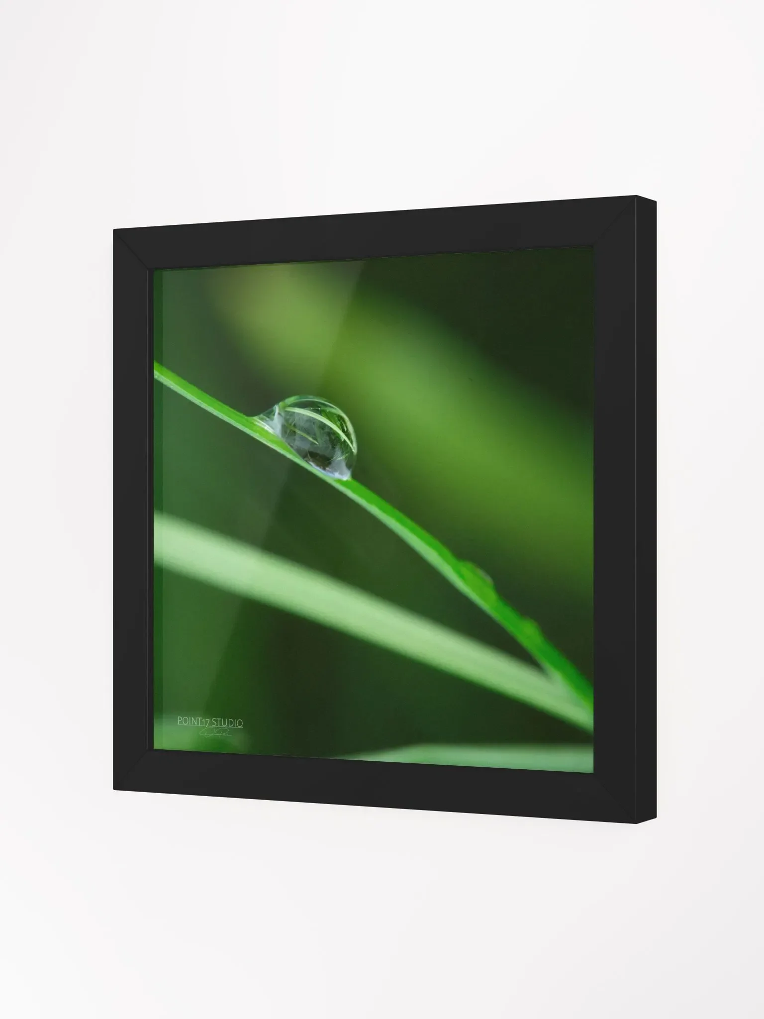 Dew Gems #6 - Framed Print product image (2)