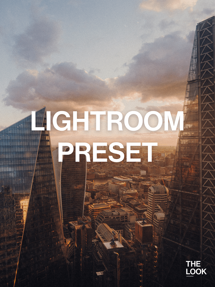 THE LOOK: Advanced Lightroom Film Preset product image (1)
