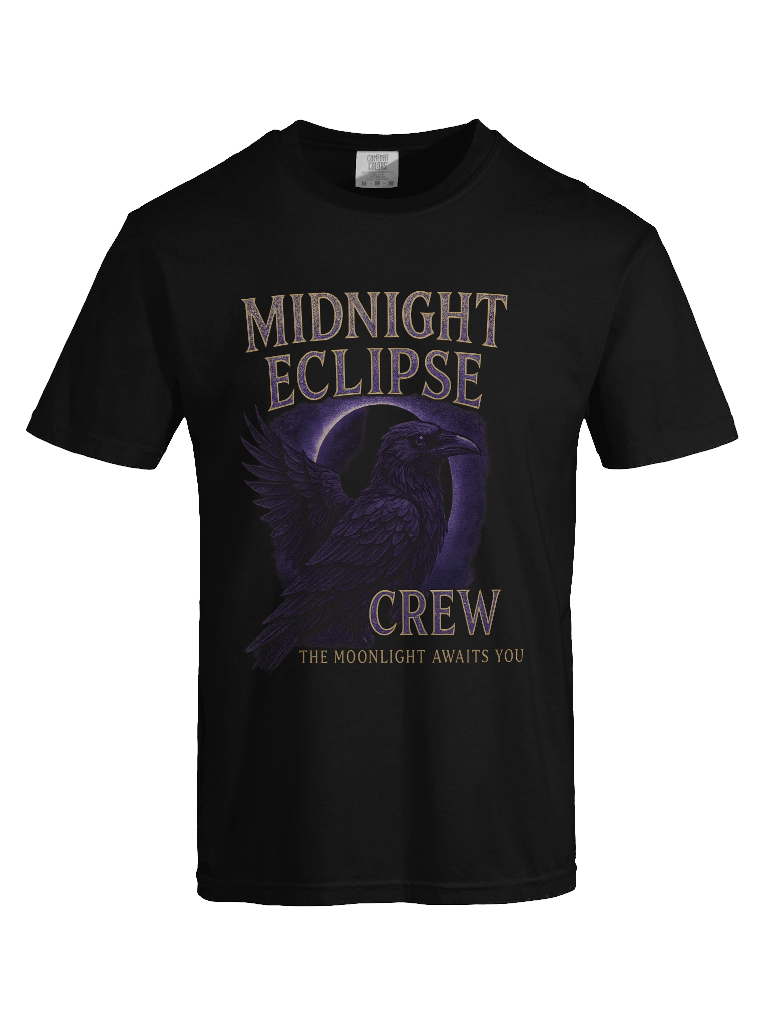 Feathers of Midnight T-Shirt product image (5)