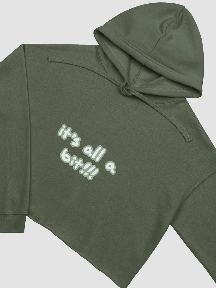 “It’s all a bit!!!” (lined design, #96B697) fleece cropped hoodie product image (13)