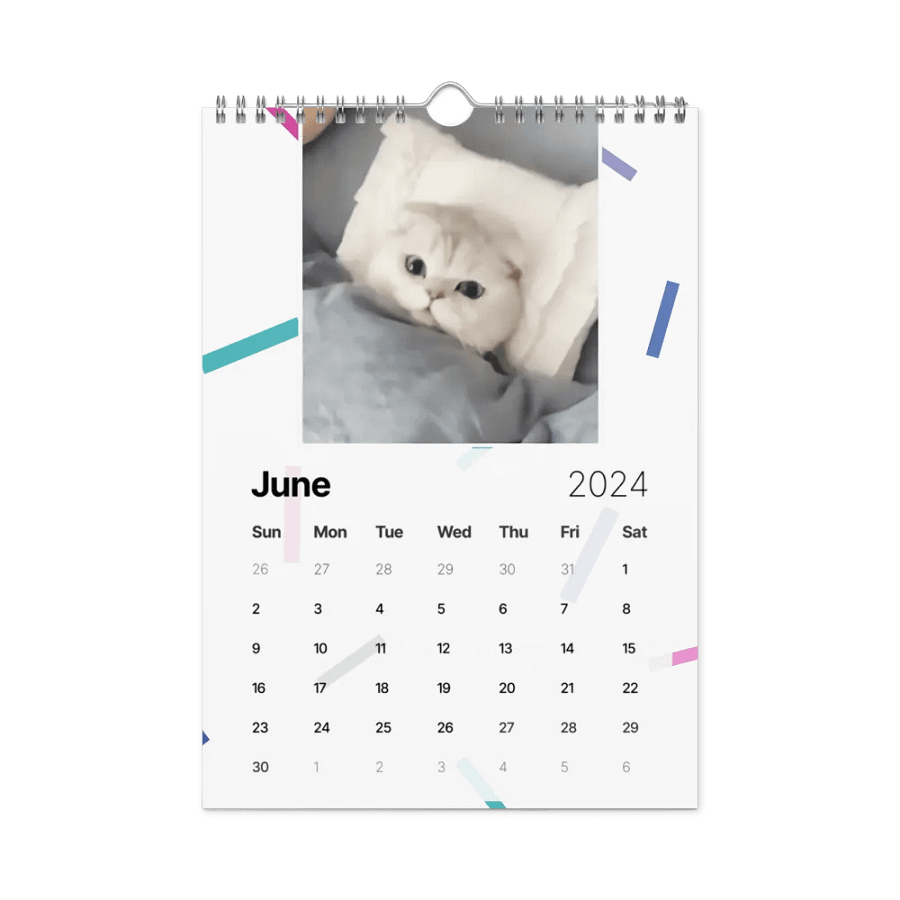Wall Calendar (2024): Meme Cats product image (12)