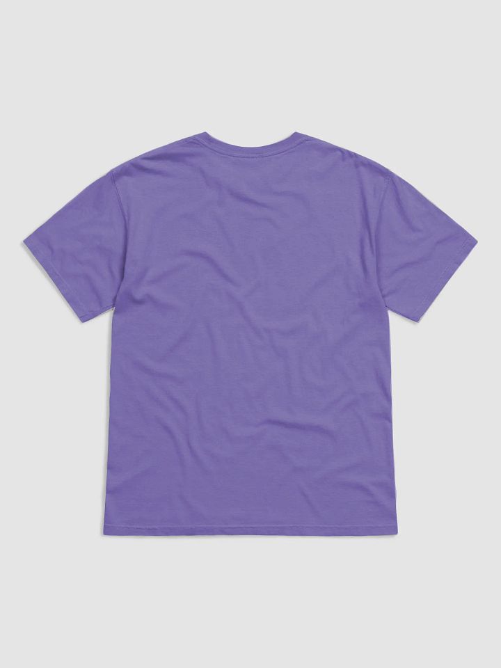 take the plunge, physics graffiti T-Shirt product image (2)