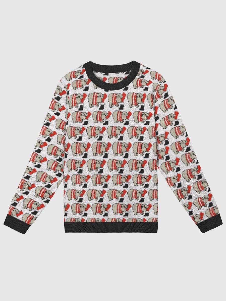 Santa Claus Jacquard Knit Sweater product image (4)