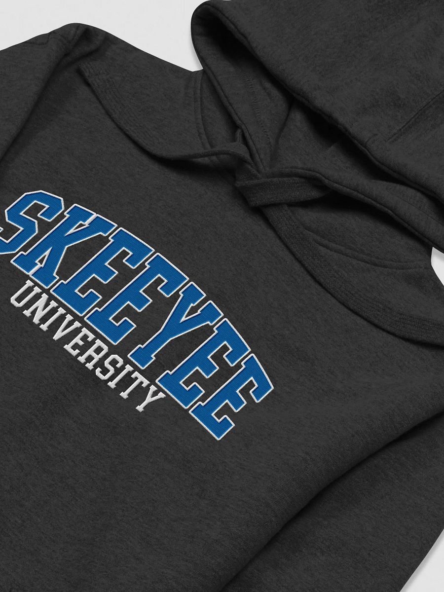 SKEEYEE Varsity Hoodie product image (27)