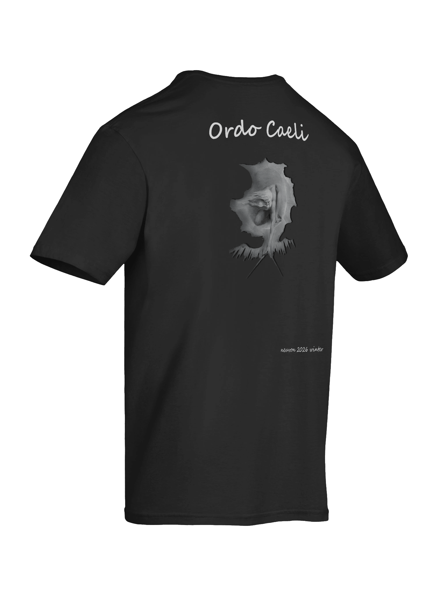 Ordo Caeli Softstyle T-Shirt - Winter 2026 product image (12)