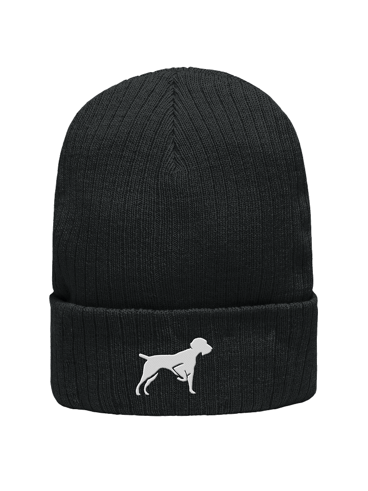 Bird Dogs Beanie product image (1)