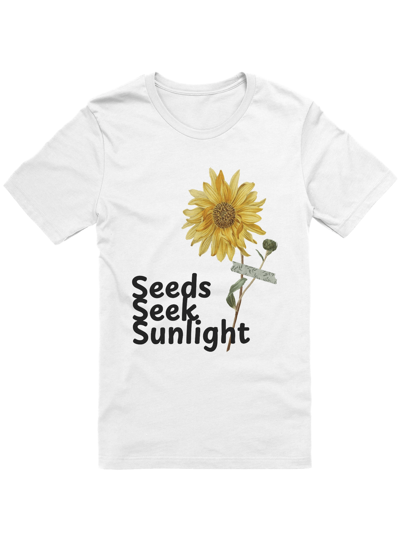 Seeds Seek Sunlight product image (1)