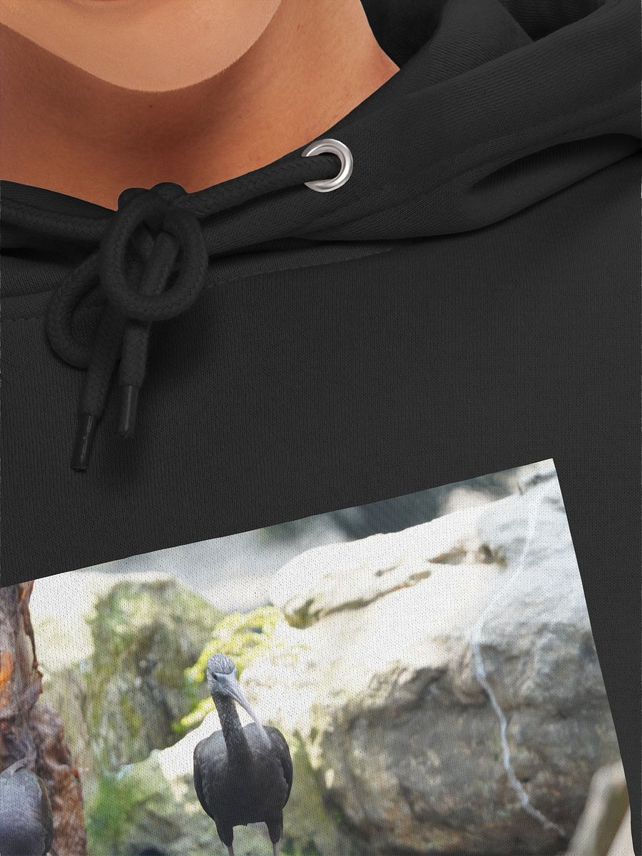 Sunlit Birds Premium Hoodie product image (7)