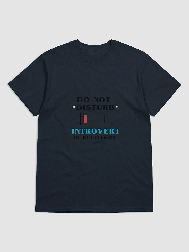 Do Not Disturb: Introvert in Recovery Shirt product image (5)
